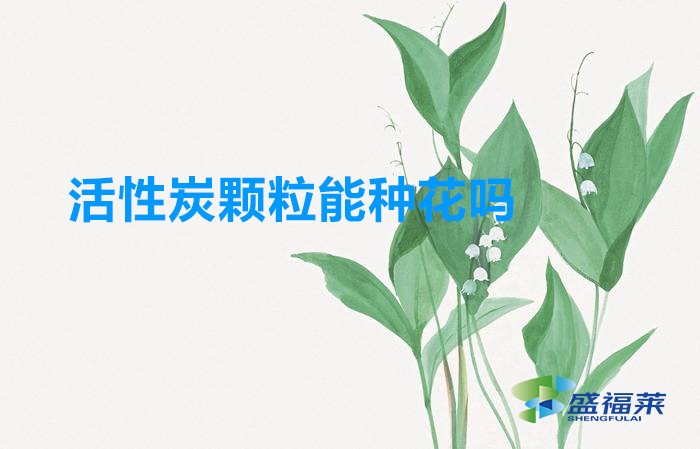 活性炭顆粒能種花嗎(活性炭怎么用來養花)