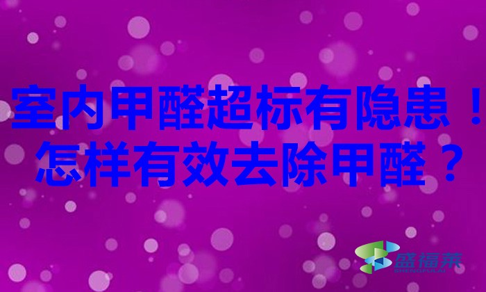 室內甲醛超標有隱患！怎樣有效去除甲醛？