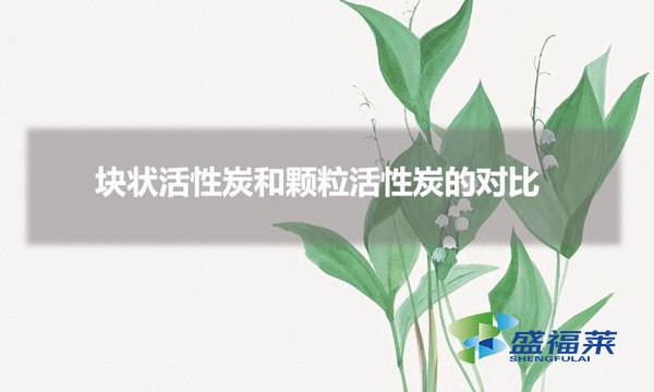 塊狀活性炭和顆粒活性炭的對比（塊狀和顆粒活性炭有哪些不同）
