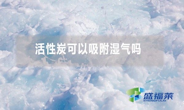 活性炭可以吸附濕氣嗎 為什么？