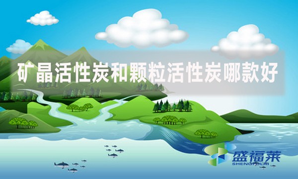 礦晶活性炭和顆?；钚蕴磕目詈?？