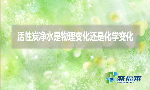 活性炭?jī)羲俏锢碜兓€是化學(xué)變化？