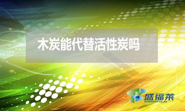 木炭能代替活性炭嗎？為什麼 ？