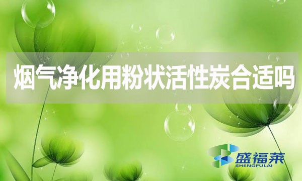 煙氣凈化用粉狀活性炭合適嗎？