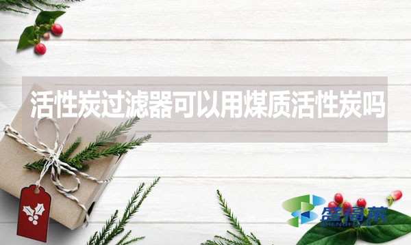 活性炭過濾器可以用煤質(zhì)活性炭嗎？為什么？